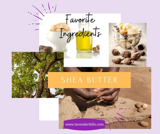 Shea Butter 101