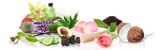 Plant-Based Body and Skincare Products