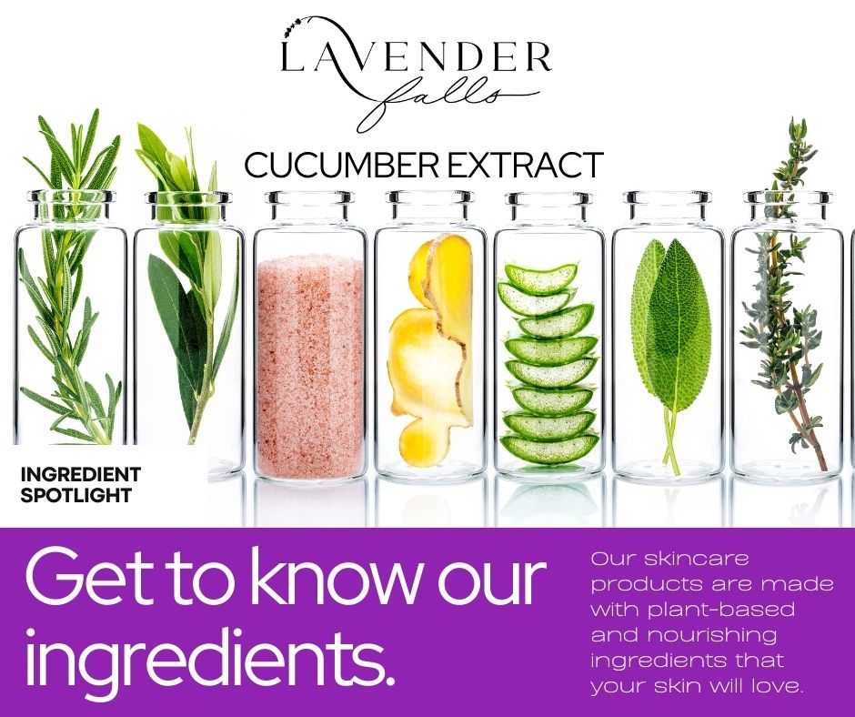 Unveiling the Secrets of Cucumber Extract in Natural Skincare